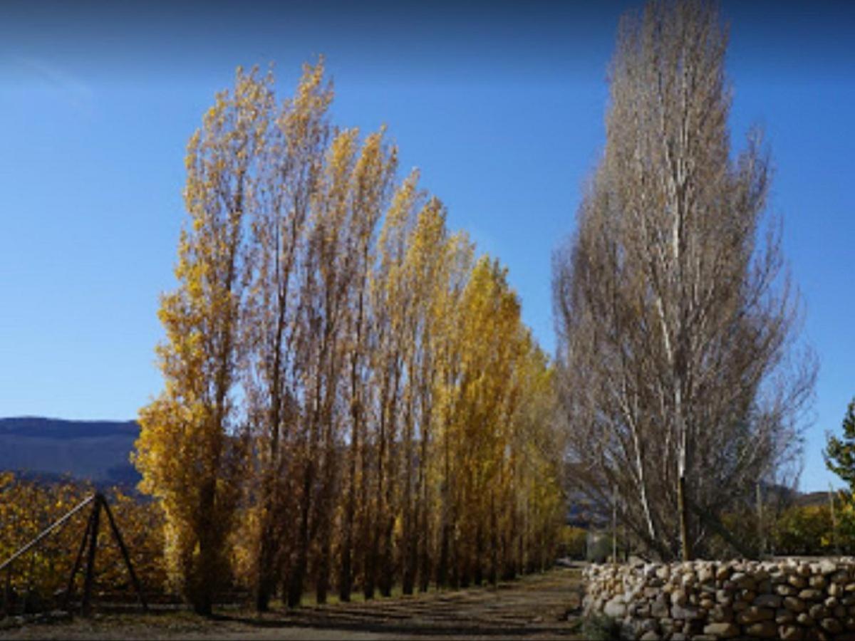 Weltevrede Fig Farm Daire Prince Albert Dış mekan fotoğraf